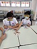 IMG_2950.jpg