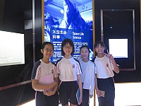 IMG_4300.jpg