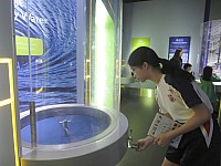 IMG_4380.jpg