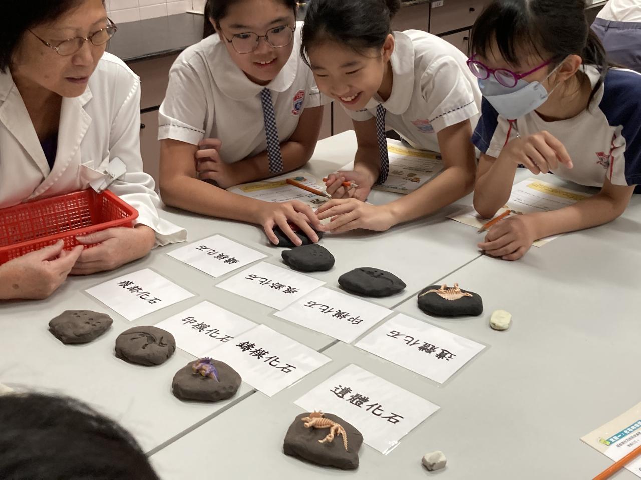 在科學館中研究恐龍化石